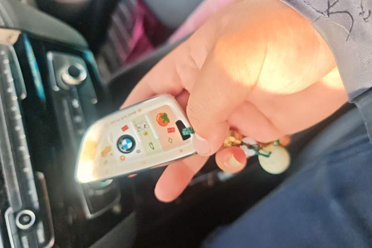 Used BMW X2 2019 sDrive20i M Sport Package China VI Emission Standard
