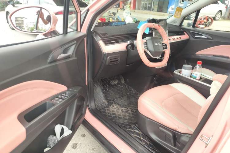 Used NETA V 2021 Witch Edition