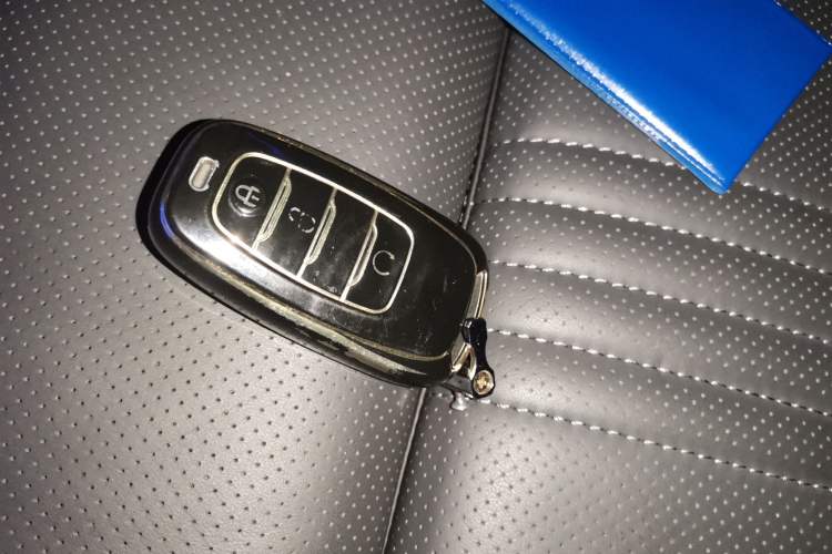 Used Hongqi H9 2020 2.0T Smart Connect Flagship Edition