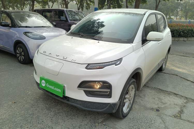 Used Dayun Yuehu 2022 30.66 kWh Two-Wheel Drive Standard Version