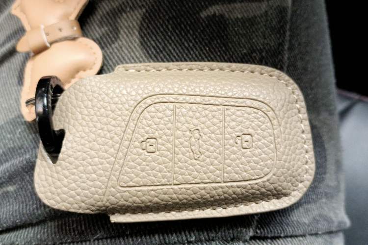 Used Chery Little Ant 2022 Sweet Pink Edition Half-Sugar Version 3-Cell Lithium 30kW 301km