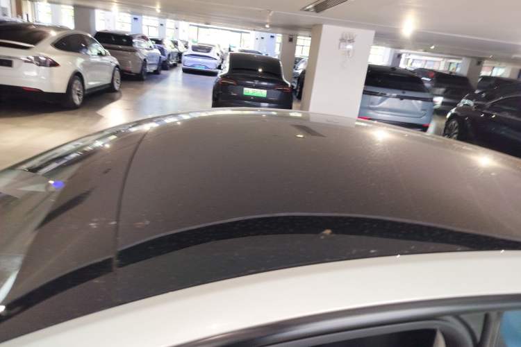 Used Tesla Model Y 2021 Standard Range Rear-Wheel Drive Version
