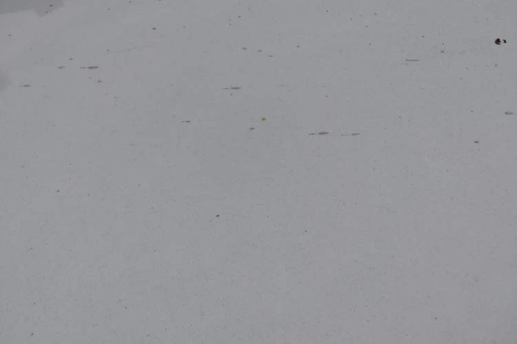 Used MG 3 2016 1.3L AMT Comfort Edition
