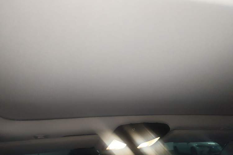 Used BMW 5 Series New Energy 2020 Mileage Upgrade Version 530Le Luxury Package Headliner