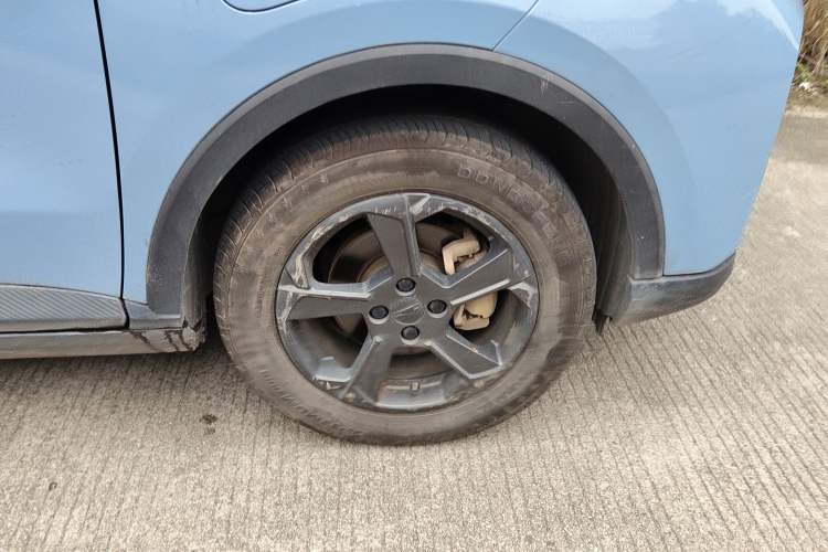 Used Geometry E Firefly 2022 401 km Linglong Tiger 4 Seats