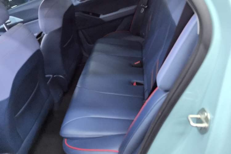 Used Geometry E Firefly 2022 320KM Cute Tiger 4-Seater