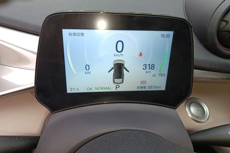 Used BYD Dolphin 2024 Honor Edition 420km Fashion Version Instrument Cluster