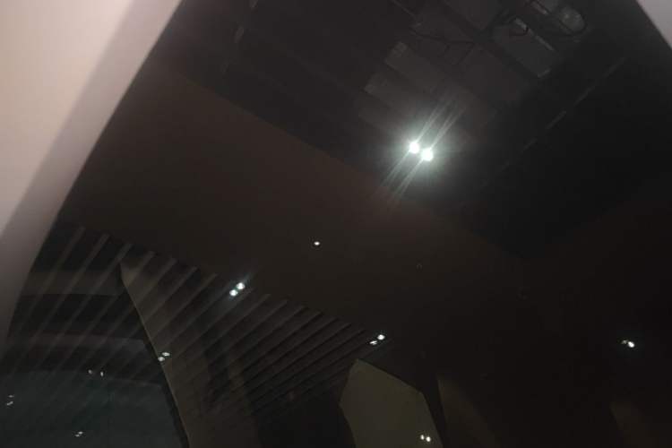 Used Tesla Model Y 2021 Standard Range Rear-Wheel Drive Version Headliner