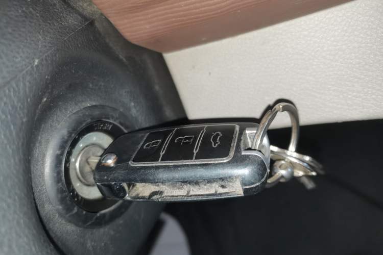 Used FORTHING Lingzhi 2020 M5L 1.6L Utility Model