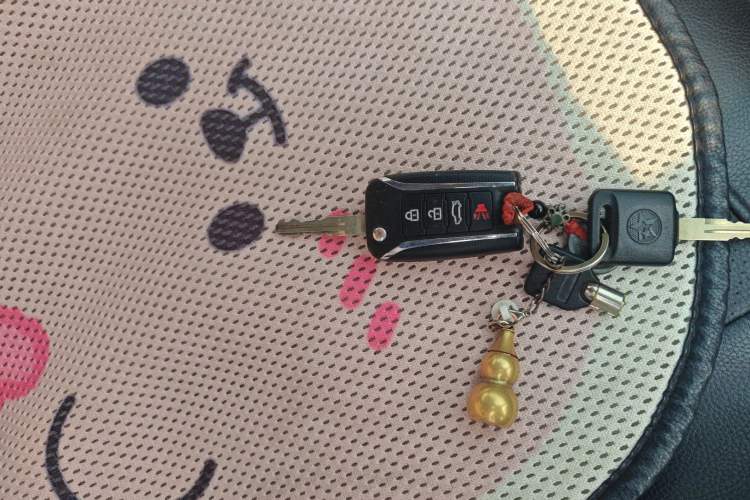 Used Venucia D60 2019 1.6L Entry Manual Fashion Edition Vehicle Key