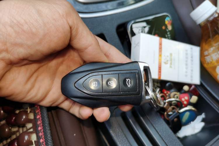 Used Leopaard CS10 2017 2.0T Automatic Urban Version