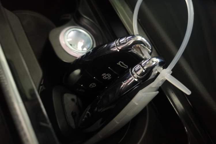 Used Hongqi H5 2025 2.0T Automatic Flag Edition – 500 000 Units Commemorative Version