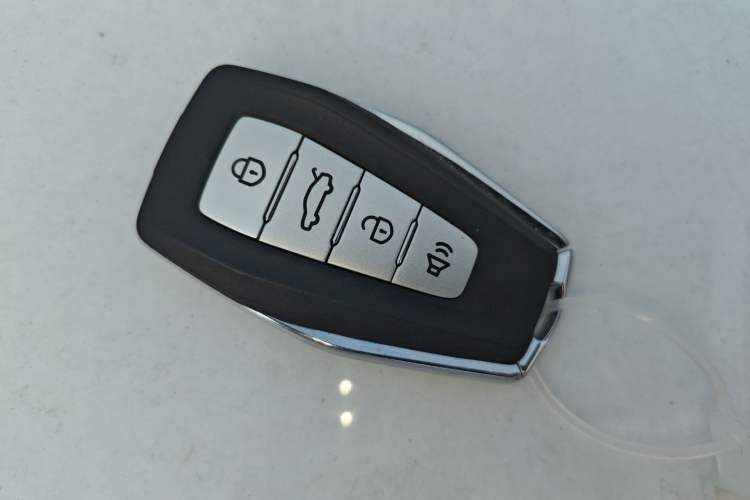 Used Geometry A 2024 410KM Travel Edition Vehicle Key