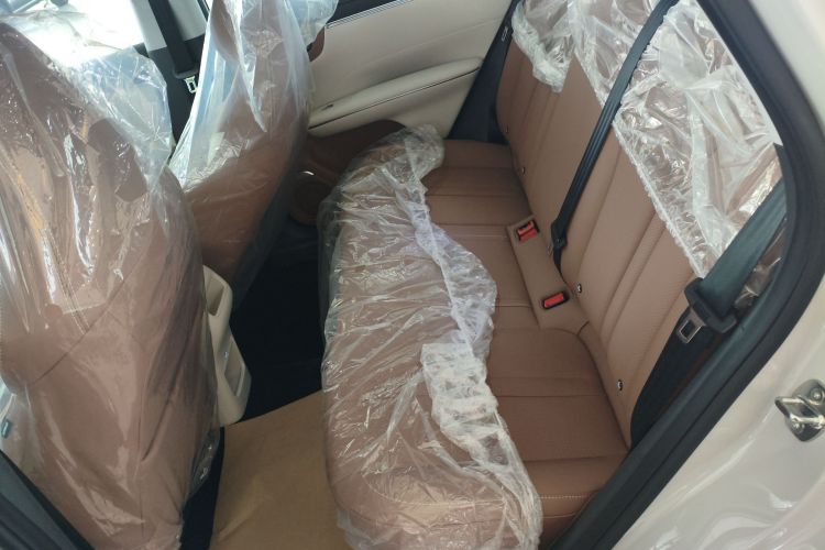 Used Wuling Bingo S 2025 Model 325km Deluxe Edition Left Rear Seat