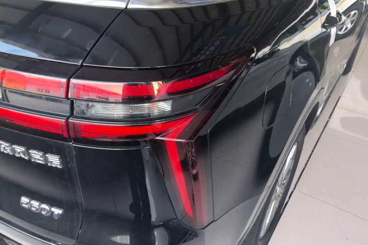 Used Venucia Star 2020 260T Automatic 48V Mild Hybrid Turbocharged Star Edition