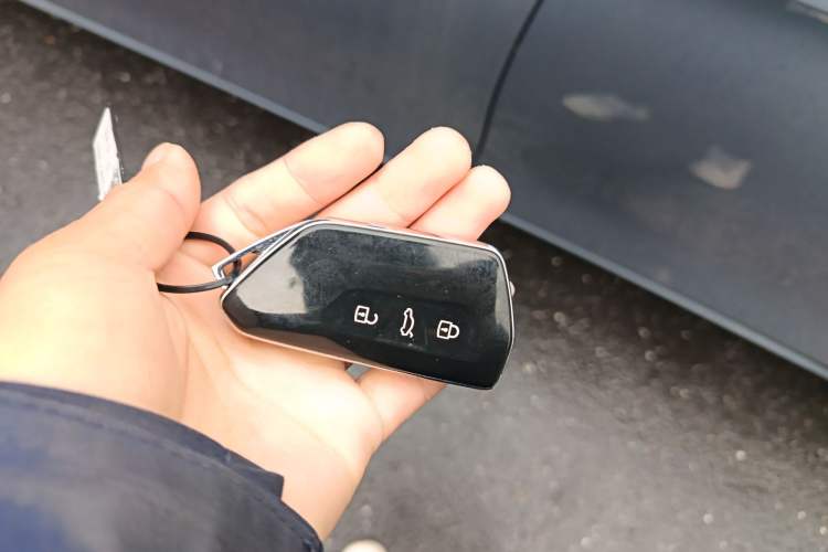 Used Volkswagen Lamando 2022 Lingdu L 280TSI DSG Spicy Edition
