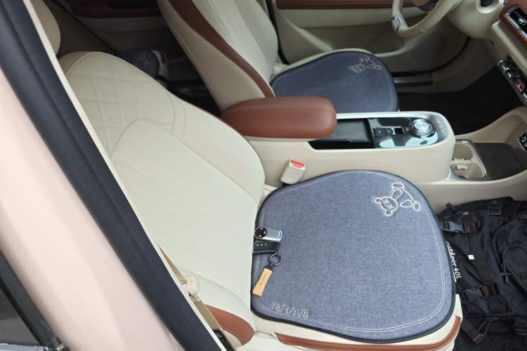 Used ORA Good Cat 2021 400km Standard Range Athena Edition Lithium Iron Phosphate
