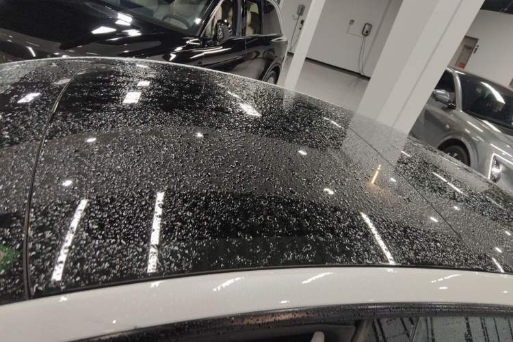 Used Tesla Model 3 2025 Rear-Wheel-Drive Version Roof