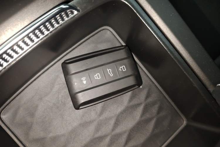 Used Tank 300 2022 2.0T Border Limited Edition