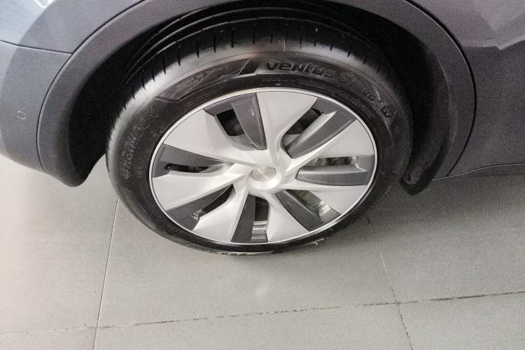 Used Tesla Model Y 2021 Standard Range Rear-Wheel Drive Version Exterior 5