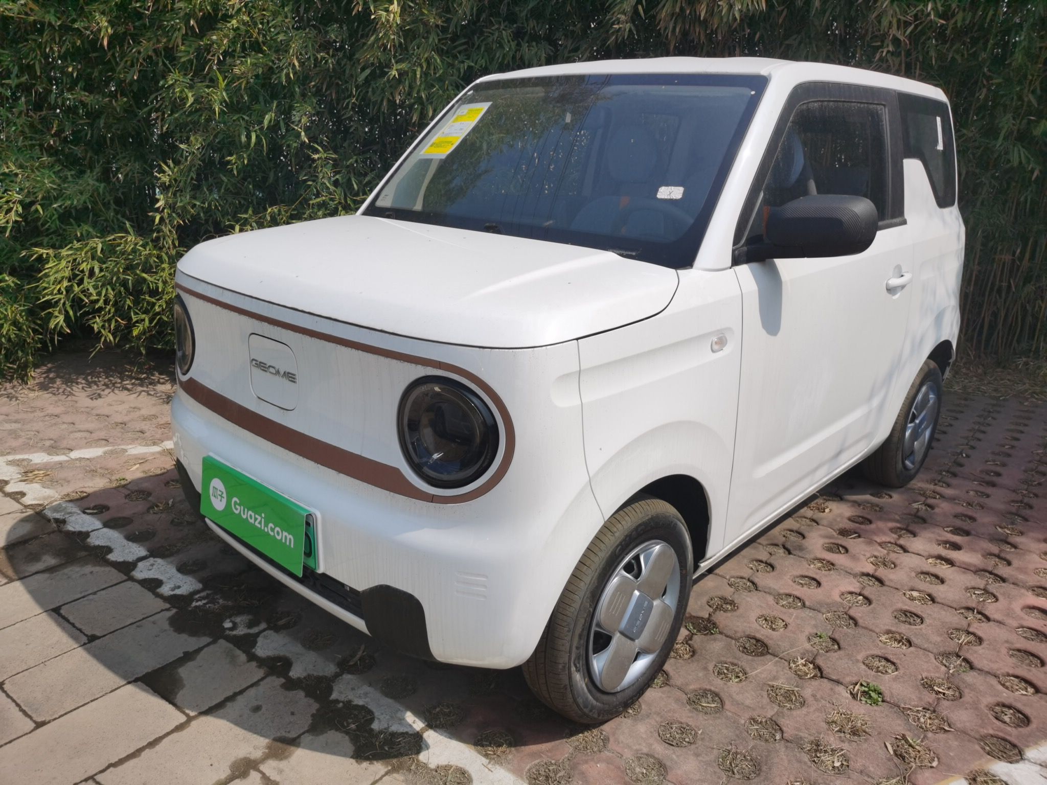 Parte inferior delantera