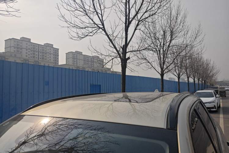 Used Haval H6 2024 1.5T Two-Wheel Drive Ultra