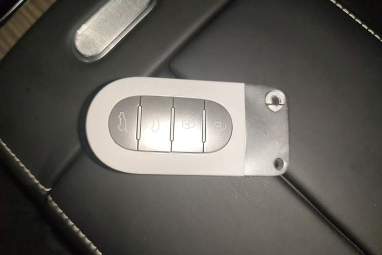 Used smart #5 2024 Ultra-Long Range Extraordinary Journey Luxury Edition
