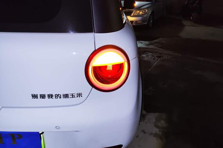 Used Qiyuan Lumin 2023 301km Honey Dew Edition