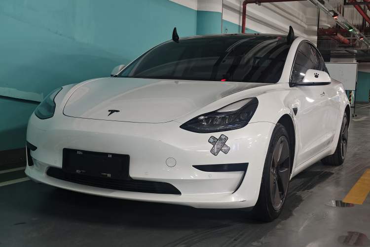 Used Tesla Model 3 2022 Rear-Wheel-Drive Version
