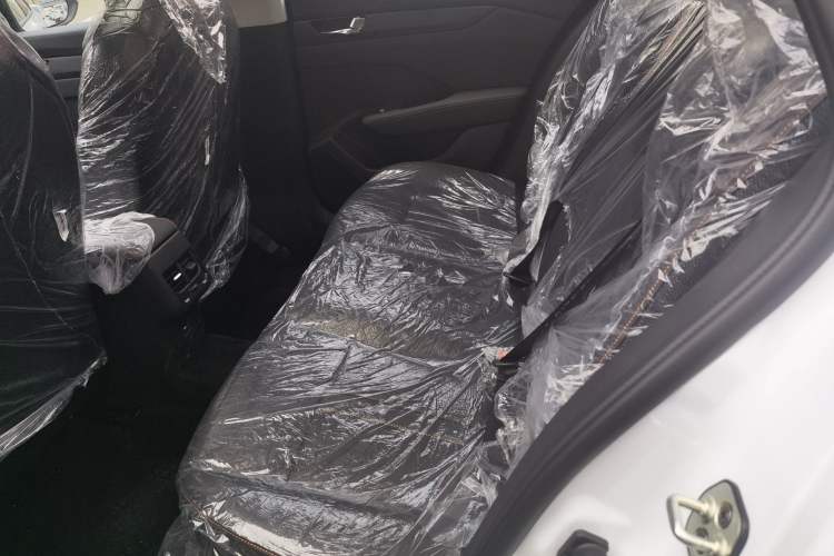 Used Dongfeng Aeolus Yixuan GS 2024 Mach Edition 1.5L Automatic Starry Version Left Rear Seat