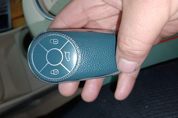 Used ORA Good Cat 2023 401 km Standard Range Luxury Version Lithium Iron Phosphate