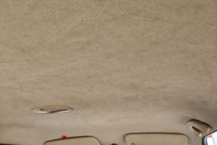 Used Lifan Auto 320 2009 1.3L Standard Edition Headliner