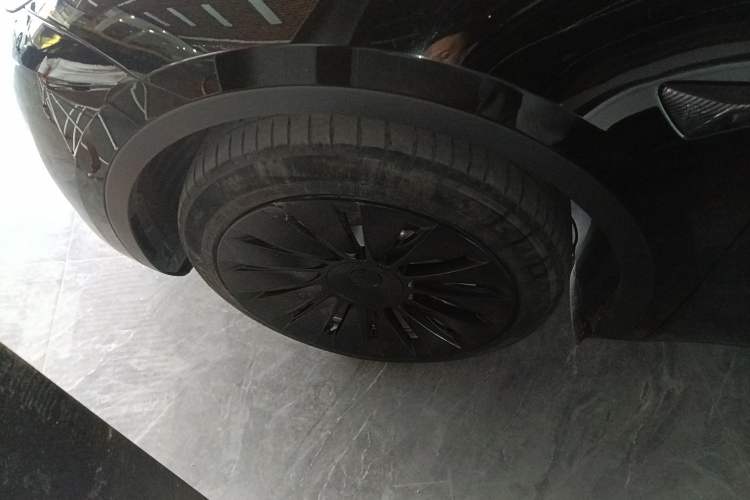 Used Tesla Model Y 2021 Standard Range Rear-Wheel Drive Version Exterior 4