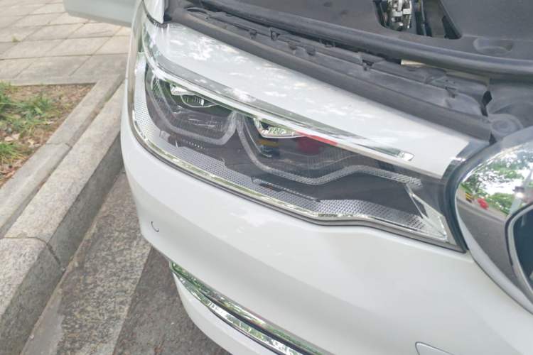 Used BMW 5 Series 2020 530Li Luxury Edition Premium Package