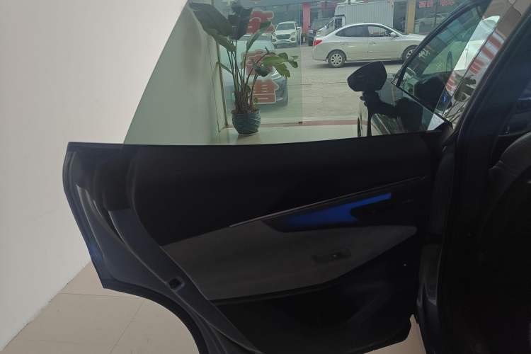 Used Lynk & Co 08 EM-P 2025 220 km All-Wheel-Drive Performance Halo Left Rear Door Interior