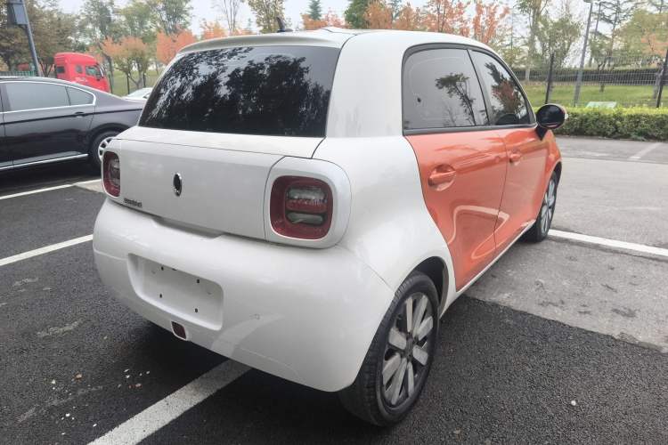 Used ORA Black Cat 2019 351 km Goddess Edition Exterior 5