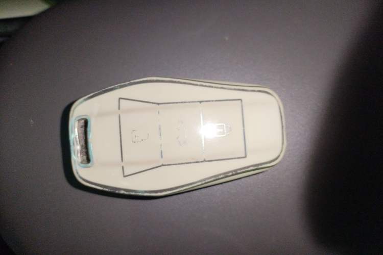 Used JAC Yiwei 3 2023 505km Pro
