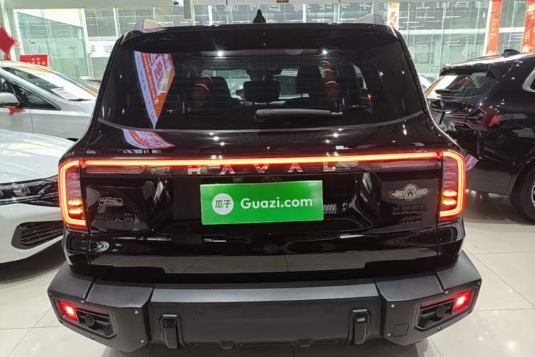 Used Haval DARGO 2024 2.0T DCT Chinese Rural Dog Edition