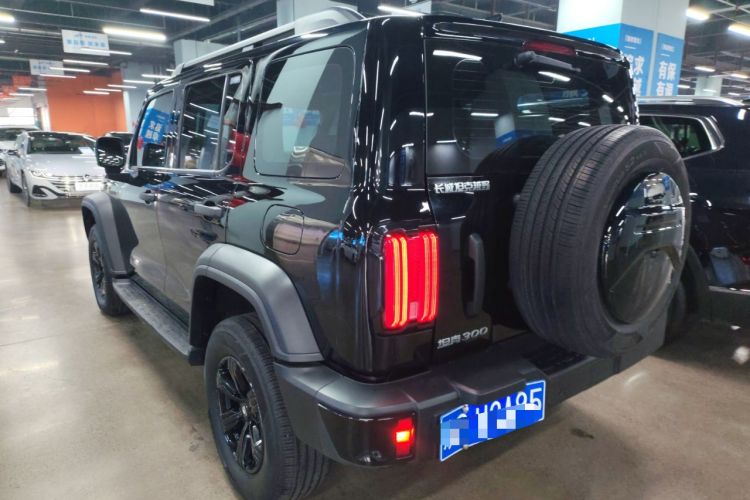 Used Tank 300 2024 2.0T Conqueror
