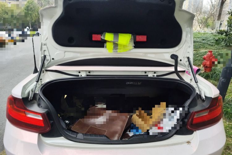 Used BMW 2 Series 2015 218i Convertible Coupe
