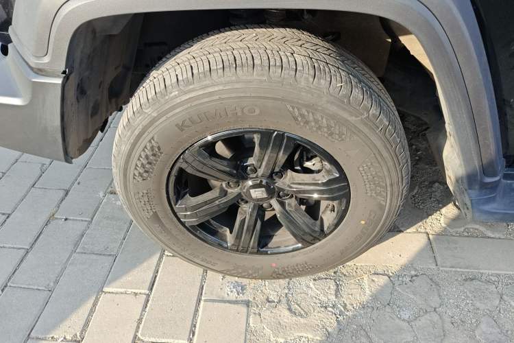 Used Tank 300 2024 2.0T Conqueror