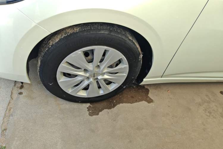 Used Nissan Sylphy 2020 1.6L XE CVT Comfort Edition
