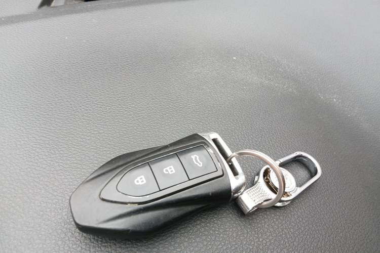 Used Leopaard CS9 2017 1.5L Manual Fashion Model Vehicle Key