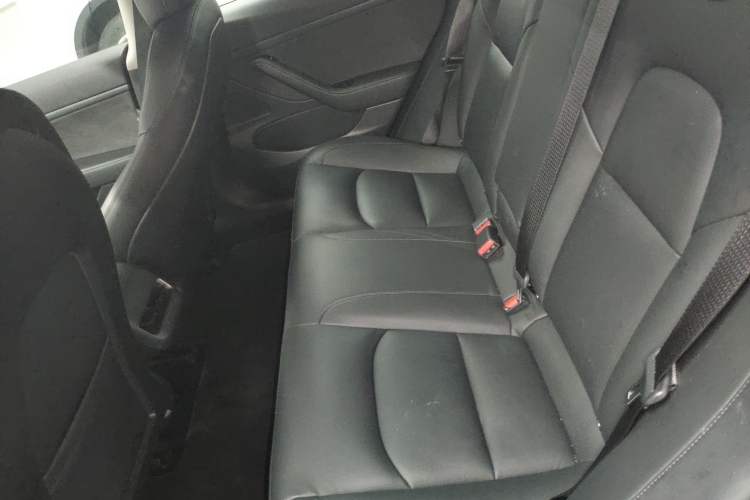 Used Tesla Model 3 2020 Standard Range Rear-Wheel Drive Upgraded Version