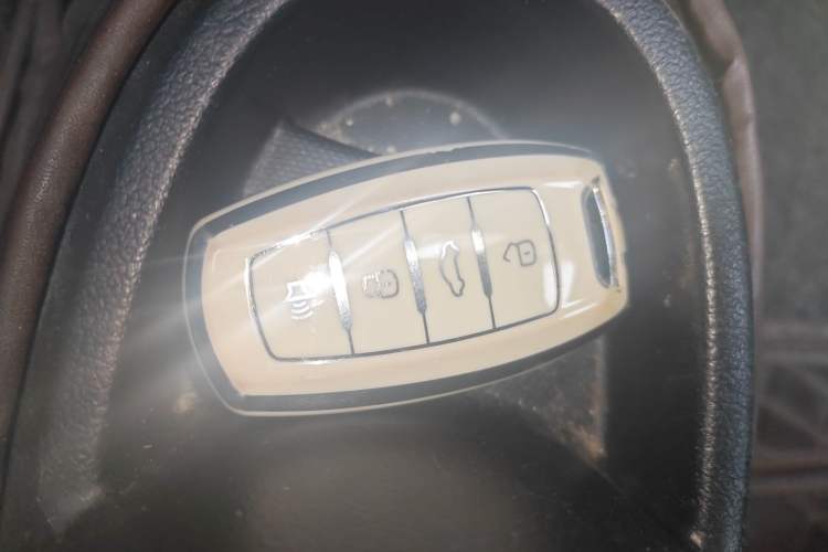 Used ORA Black Cat 2021 351 km Luxury Version