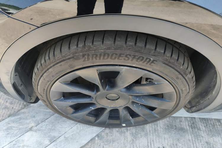 Used Tesla Model Y 2021 Standard Range Rear-Wheel Drive Version
