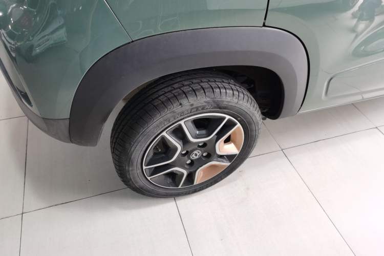 Used Dongfeng NAMMI EX1 2023 PRO Light Wind Edition Lightning Model