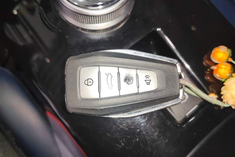 Used Geometry E Firefly 2022 401 km Linglong Tiger 5 Seats