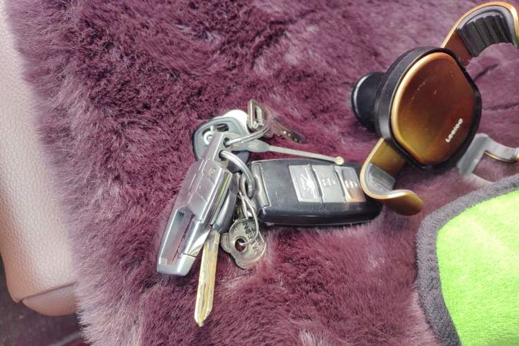 Used FORTHING Joyear X5 2016 1.6L Manual Luxury Model