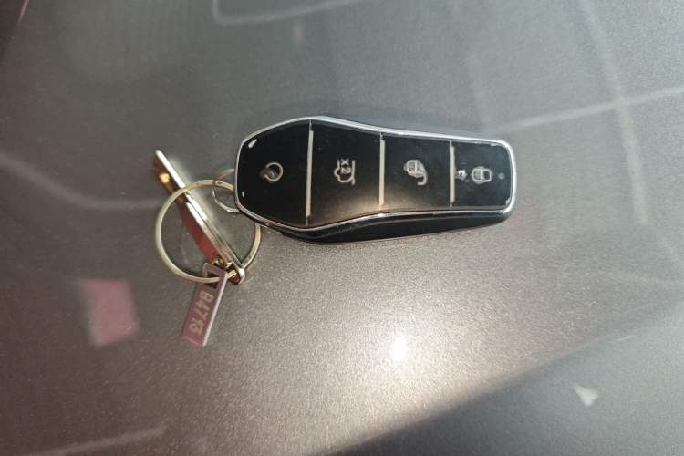 Used BYD Song PLUS New Energy 2025 DM-i 112KM Prestige Model